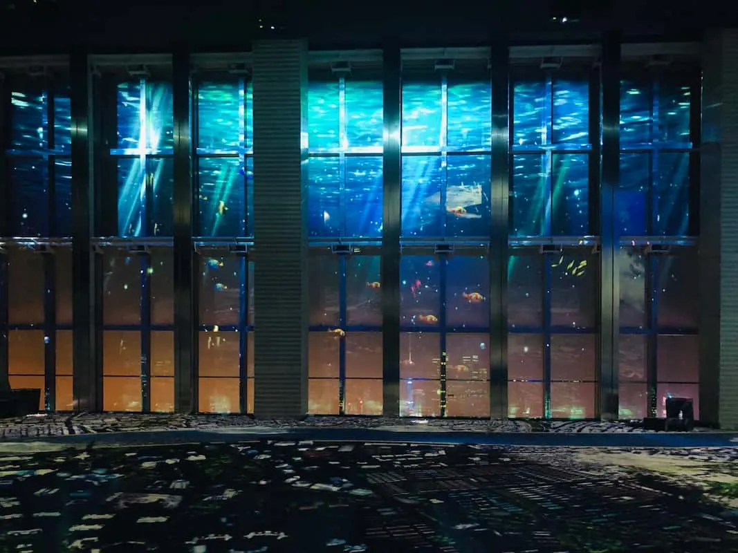 Naked Show Shanghai Clear Projection Film project